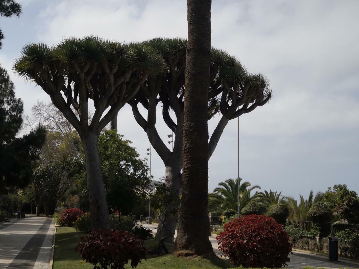 Casa Aridani Villa Arucas Bagian luar foto